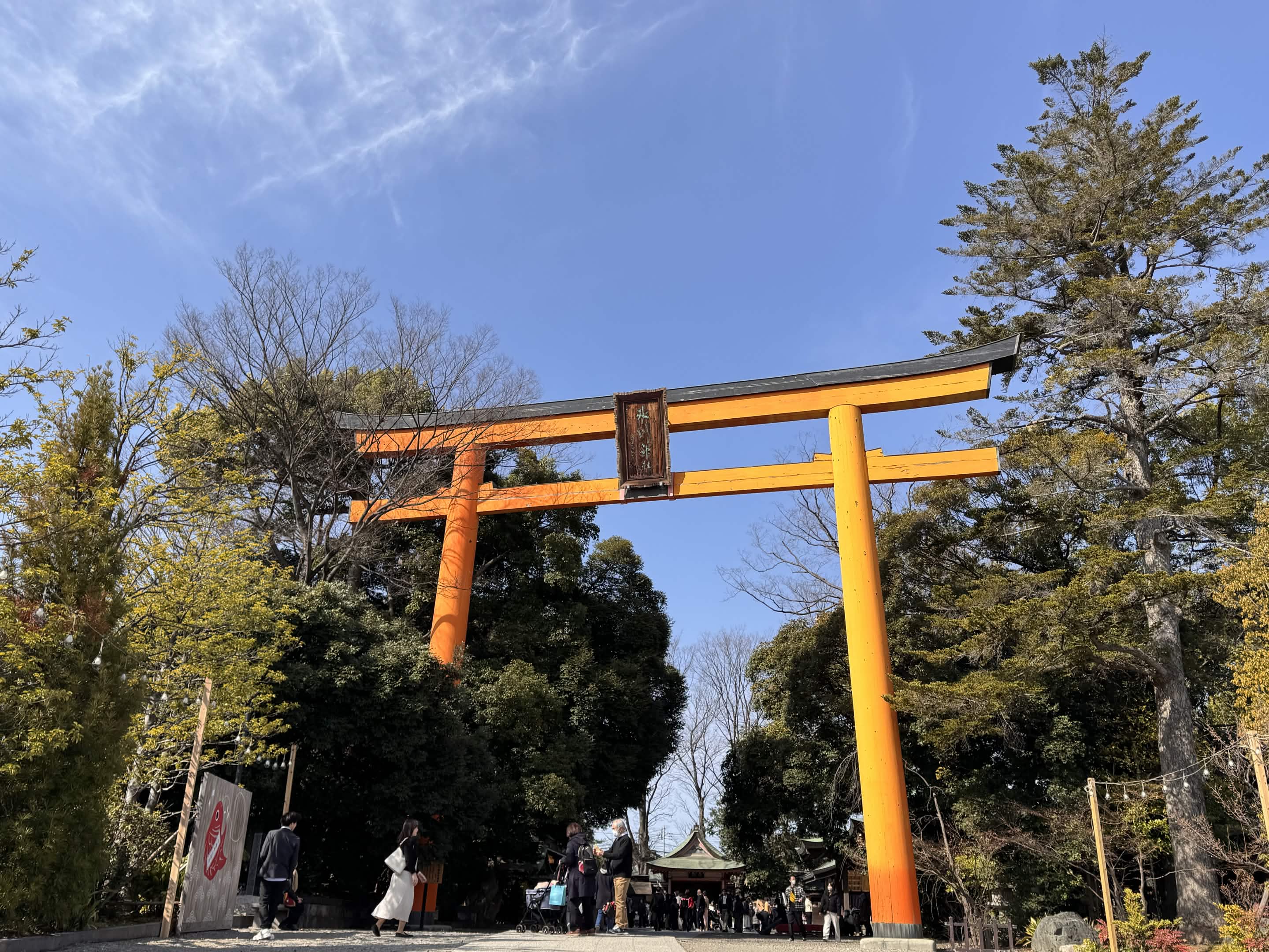 氷川神社の鳥居。でかい