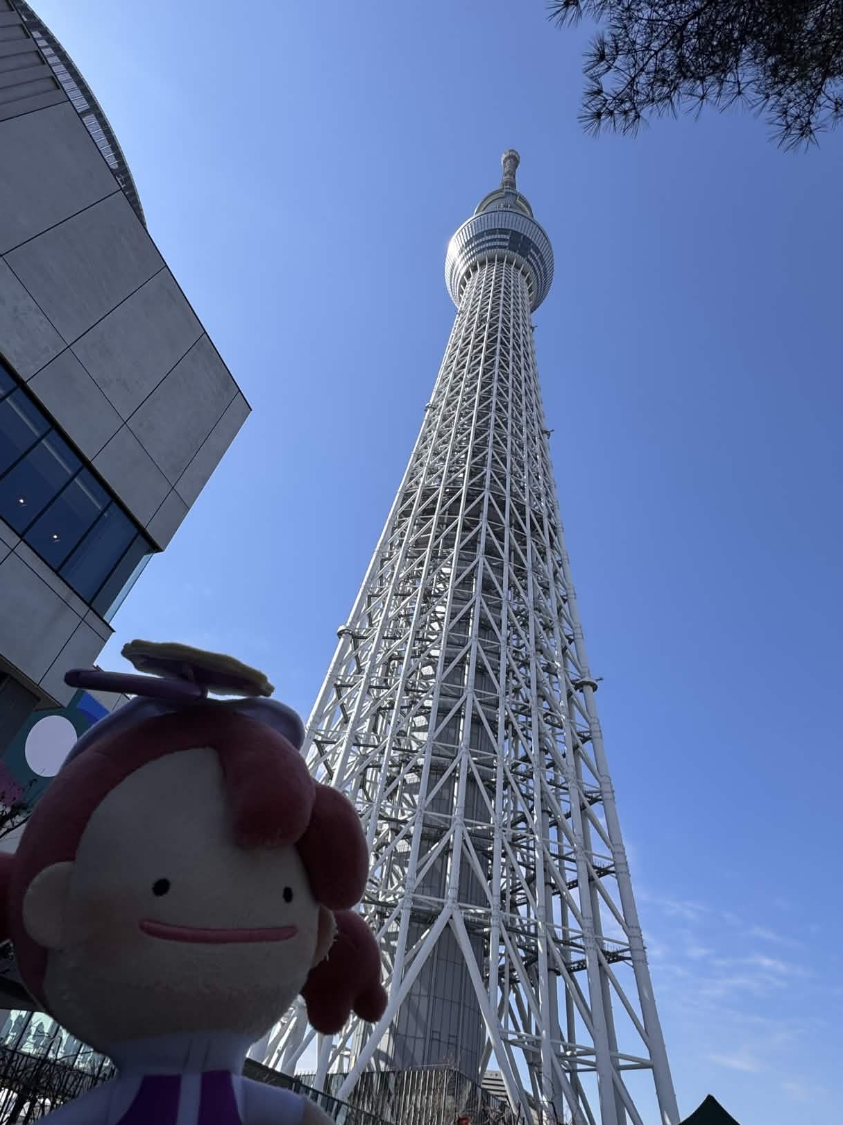 東京スカイツリーとメタモン